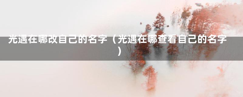 光遇在哪改自己的名字（光遇在哪查看自己的名字）