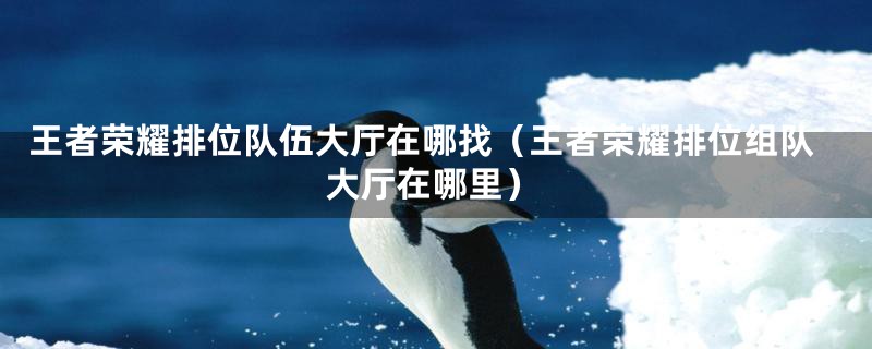 王者荣耀排位队伍大厅在哪找（王者荣耀排位组队大厅在哪里）
