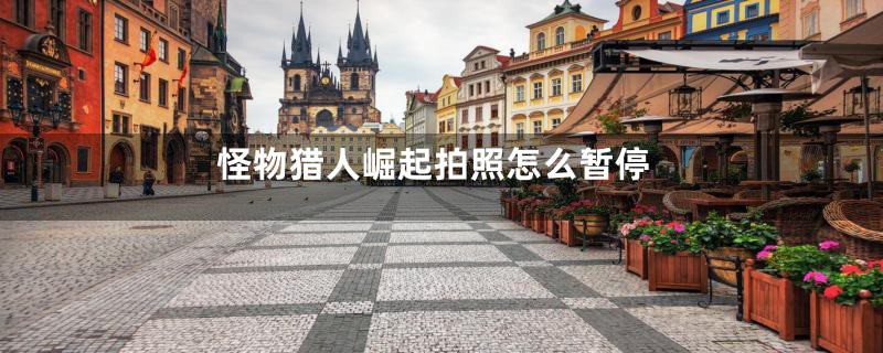 怪物猎人崛起拍照怎么暂停