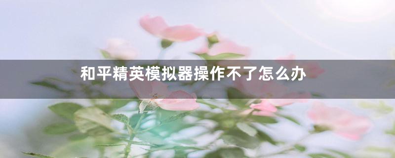 和平精英模拟器操作不了怎么办
