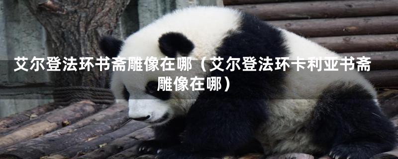 艾尔登法环书斋雕像在哪(艾尔登法环卡利亚书斋雕像在哪)