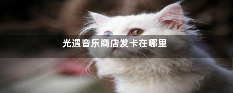 光遇音乐商店发卡在哪里