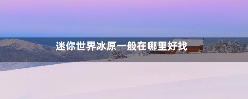 迷你世界冰原一般在哪里好找