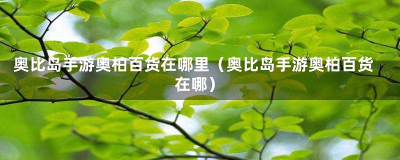 奥比岛手游奥柏百货在哪里（奥比岛手游奥柏百货在哪）
