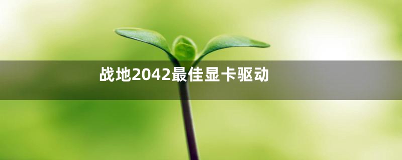 战地2042最佳显卡驱动