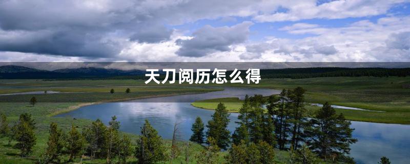 天刀阅历怎么得