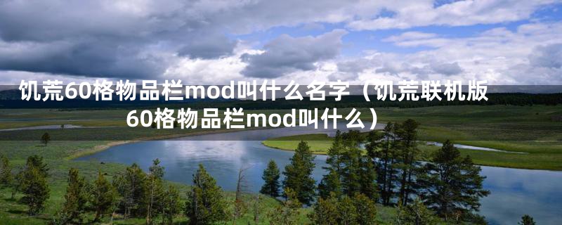 饥荒60格物品栏mod叫什么名字（饥荒联机版60格物品栏mod叫什么）