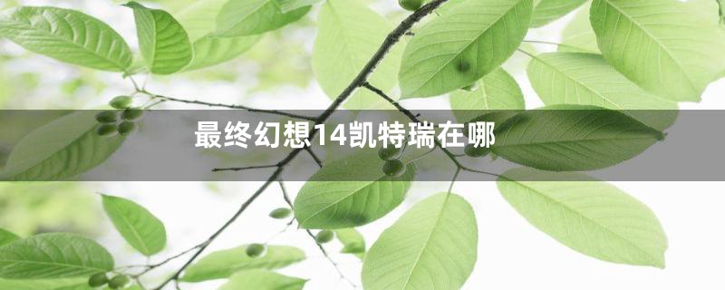 最终幻想14凯特瑞在哪