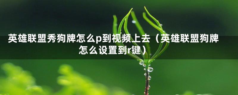 英雄联盟秀狗牌怎么p到视频上去(英雄联盟狗牌怎么设置到r键)