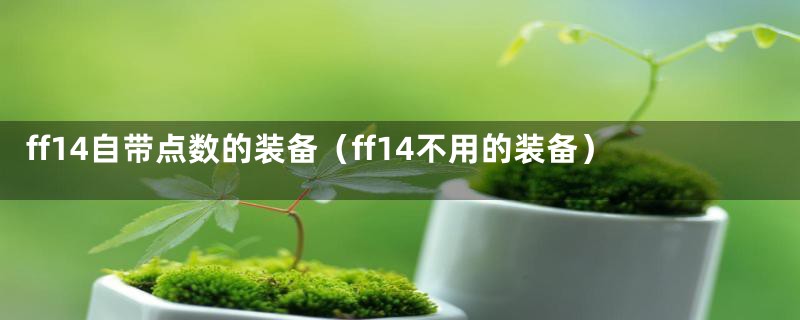 ff14自带点数的装备（ff14不用的装备）