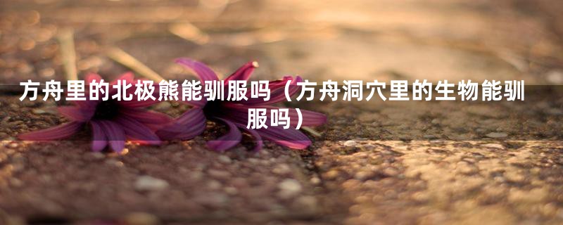 方舟里的北极熊能驯服吗（方舟洞穴里的生物能驯服吗）