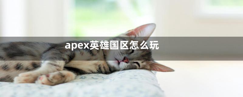apex英雄国区怎么玩