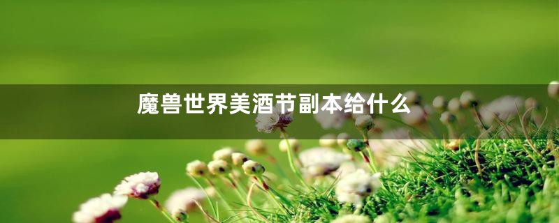 魔兽世界美酒节副本给什么