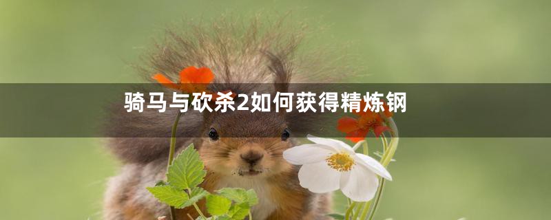 骑马与砍杀2如何获得精炼钢