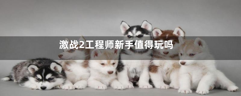 激战2工程师新手值得玩吗