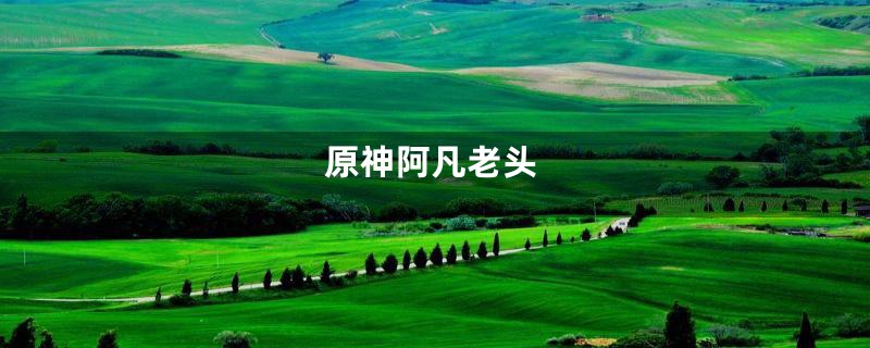 原神阿凡老头