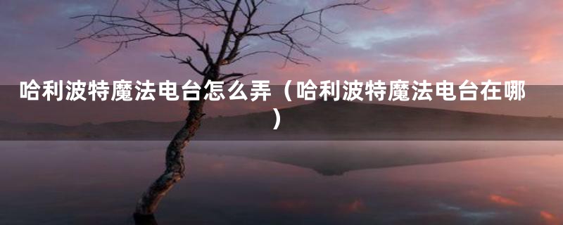 哈利波特魔法电台怎么弄(哈利波特魔法电台在哪)