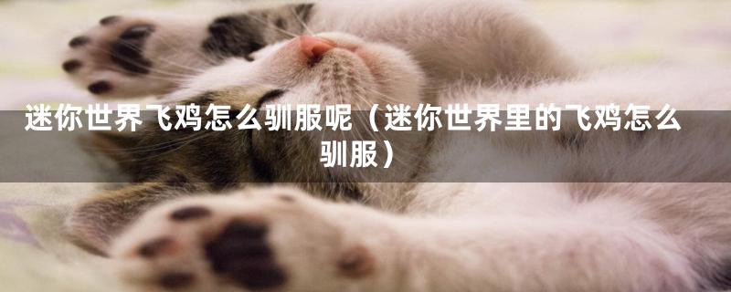 迷你世界飞鸡怎么驯服呢（迷你世界里的飞鸡怎么驯服）