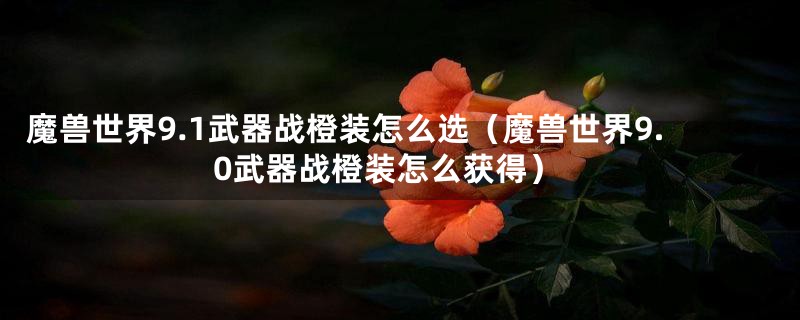 魔兽世界9.1武器战橙装怎么选（魔兽世界9.0武器战橙装怎么获得）