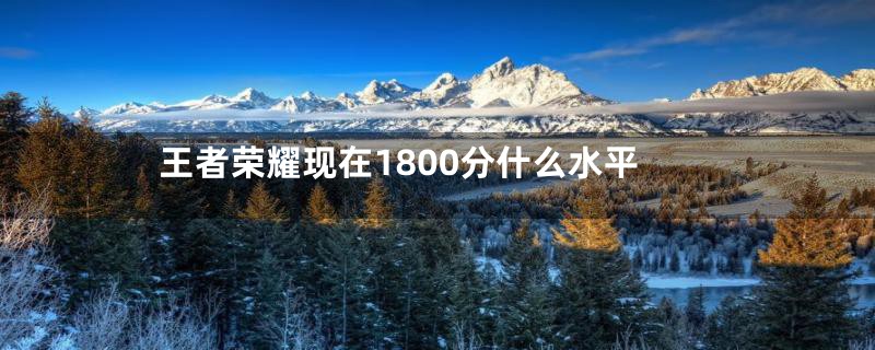 王者荣耀现在1800分什么水平