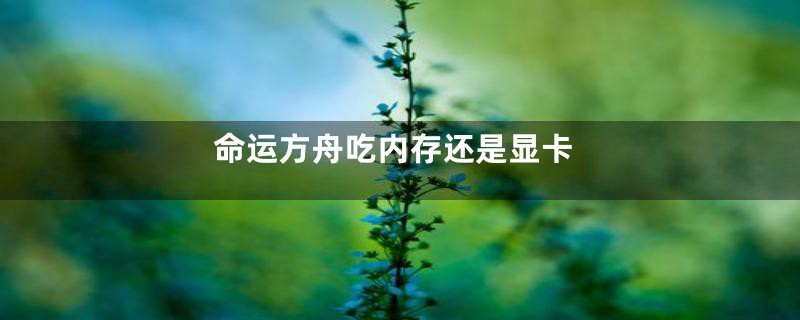 命运方舟吃内存还是显卡
