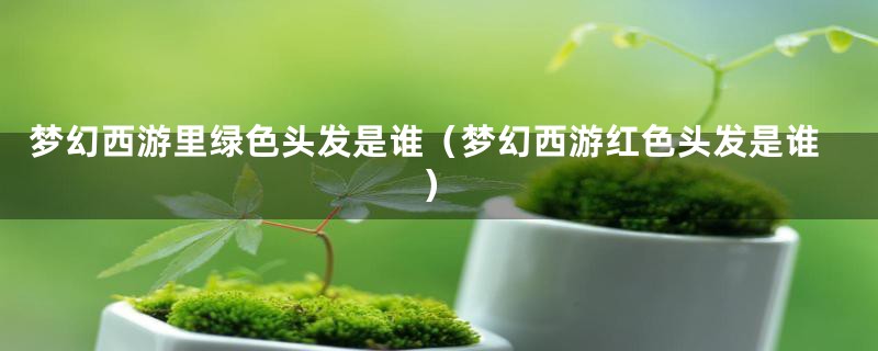 梦幻西游里绿色头发是谁（梦幻西游红色头发是谁）