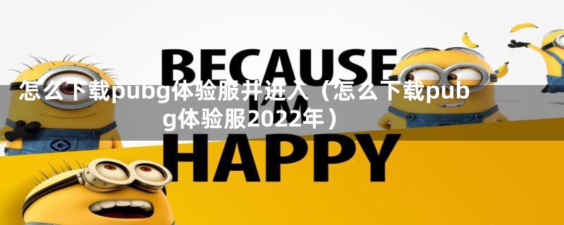 怎么下载pubg体验服并进入（怎么下载pubg体验服2022年）