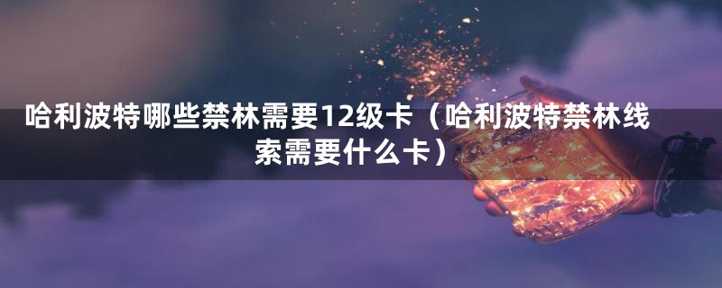 哈利波特哪些禁林需要12级卡（哈利波特禁林线索需要什么卡）