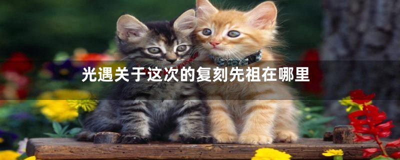 光遇关于这次的复刻先祖在哪里