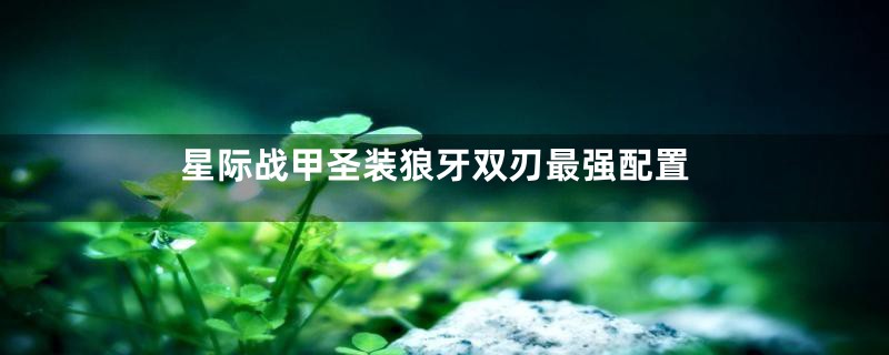 星际战甲圣装狼牙双刃最强配置