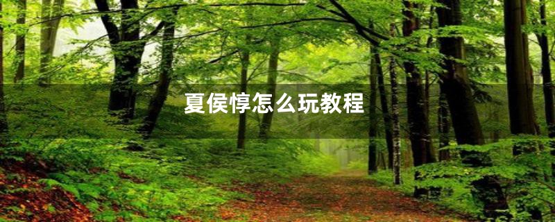 夏侯惇怎么玩教程