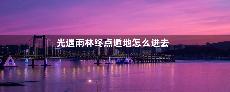 光遇雨林终点遁地怎么进去