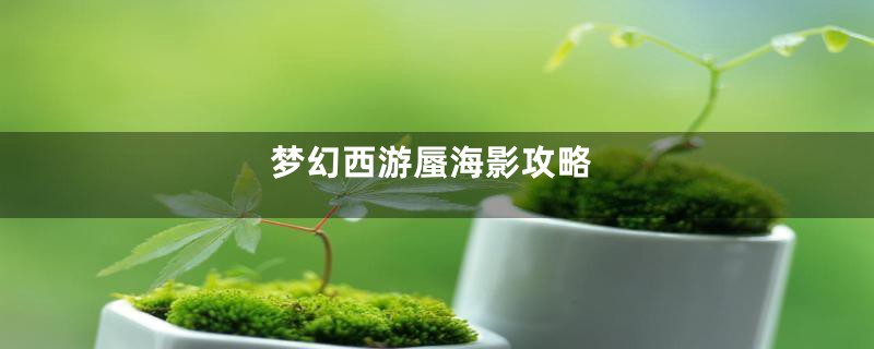 梦幻西游蜃海影攻略