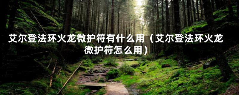 艾尔登法环火龙微护符有什么用（艾尔登法环火龙微护符怎么用）