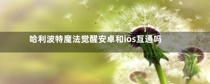 哈利波特魔法觉醒安卓和ios互通吗