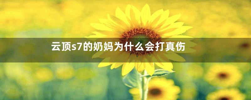 云顶s7的奶妈为什么会打真伤