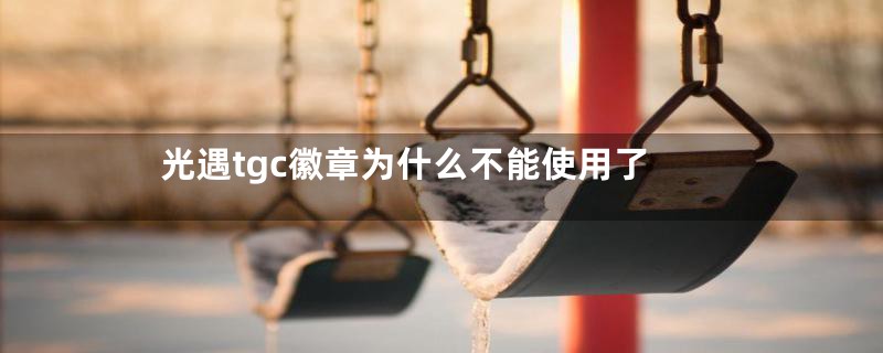 光遇tgc徽章为什么不能使用了