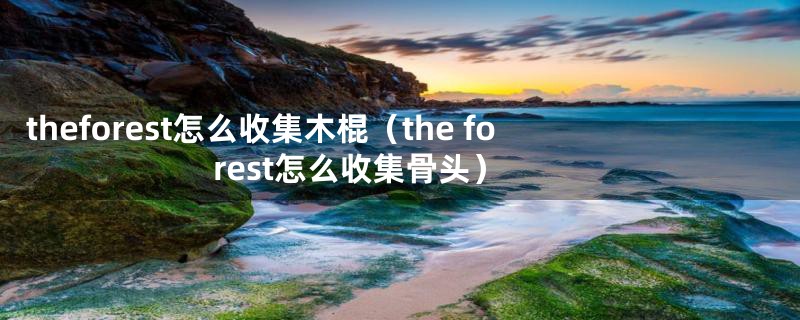 theforest怎么收集木棍(the forest怎么收集骨头)