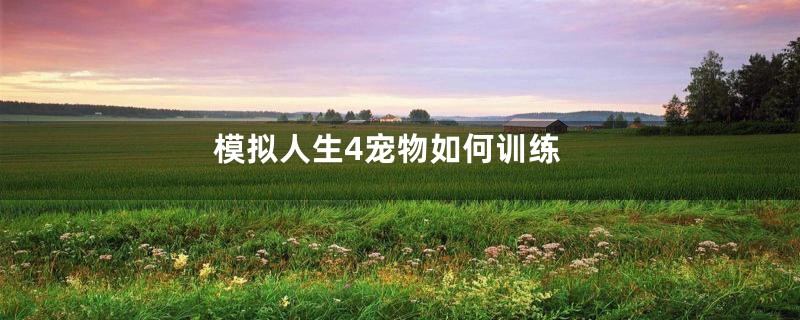 模拟人生4宠物如何训练