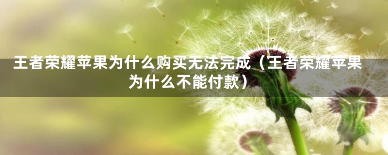 王者荣耀苹果为什么购买无法完成（王者荣耀苹果为什么不能付款）