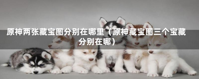 原神两张藏宝图分别在哪里(原神藏宝图三个宝藏分别在哪)