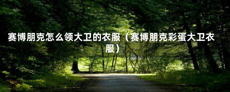 赛博朋克怎么领大卫的衣服（赛博朋克彩蛋大卫衣服）
