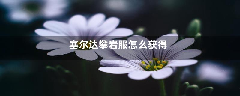 塞尔达攀岩服怎么获得