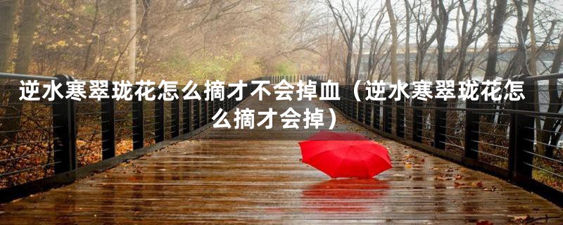 逆水寒翠珑花怎么摘才不会掉血(逆水寒翠珑花怎么摘才会掉)