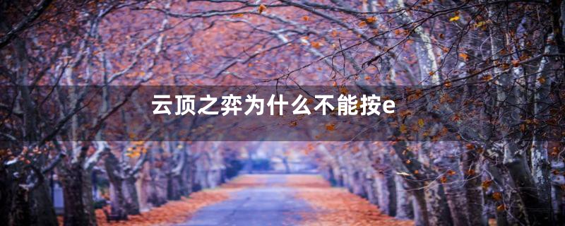 云顶之弈为什么不能按e