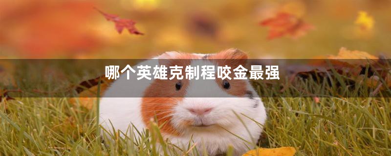 哪个英雄克制程咬金最强