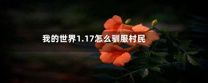 我的世界1.17怎么驯服村民