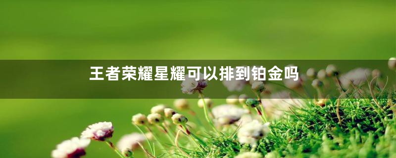 王者荣耀星耀可以排到铂金吗