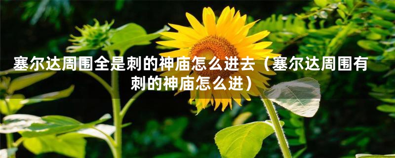 塞尔达周围全是刺的神庙怎么进去(塞尔达周围有刺的神庙怎么进)