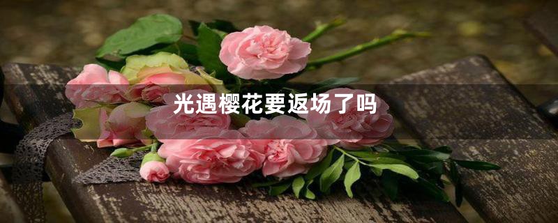 光遇樱花要返场了吗